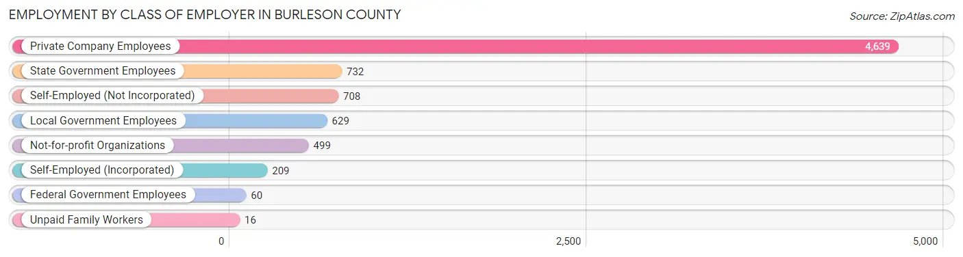 Employment by Class of Employer in Burleson County