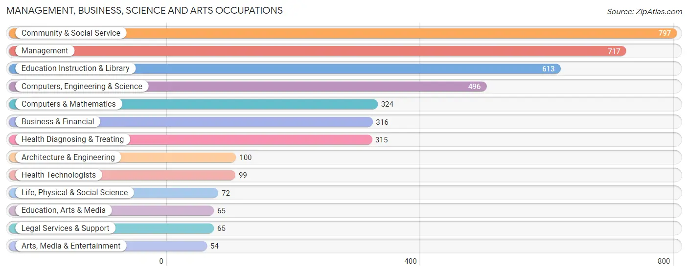 Management, Business, Science and Arts Occupations in Burleson County