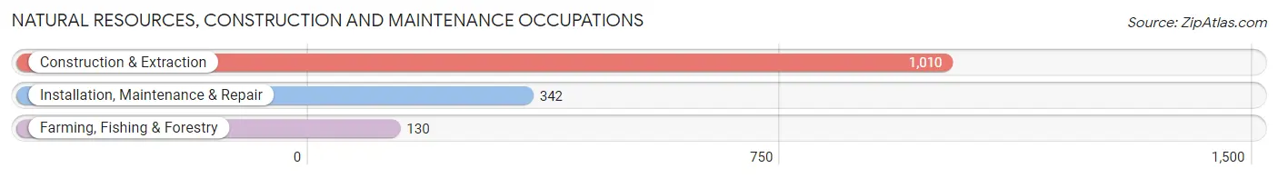 Natural Resources, Construction and Maintenance Occupations in Burleson County