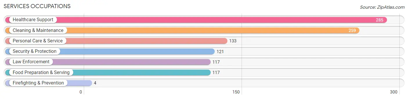 Services Occupations in Burleson County