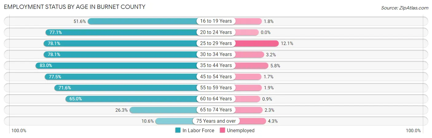 Employment Status by Age in Burnet County