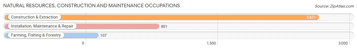 Natural Resources, Construction and Maintenance Occupations in Burnet County
