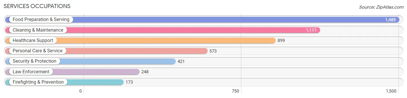 Services Occupations in Burnet County