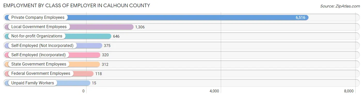 Employment by Class of Employer in Calhoun County