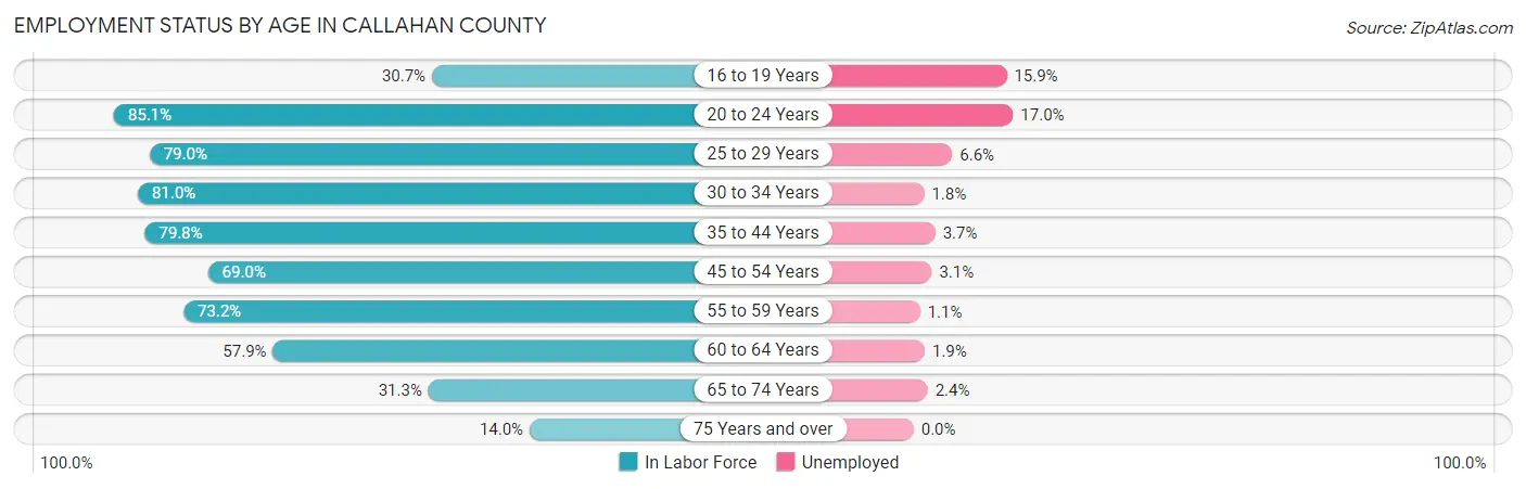 Employment Status by Age in Callahan County