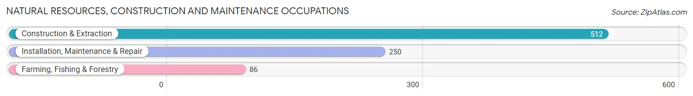 Natural Resources, Construction and Maintenance Occupations in Callahan County