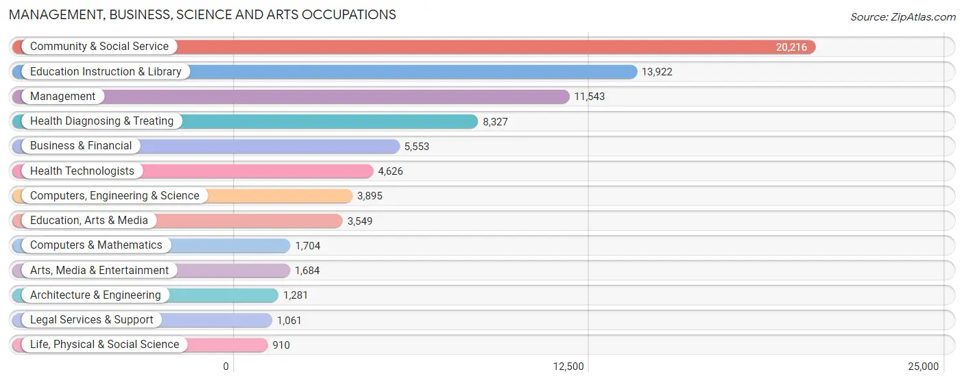 Management, Business, Science and Arts Occupations in Cameron County