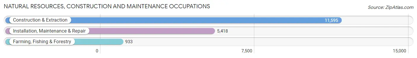 Natural Resources, Construction and Maintenance Occupations in Cameron County