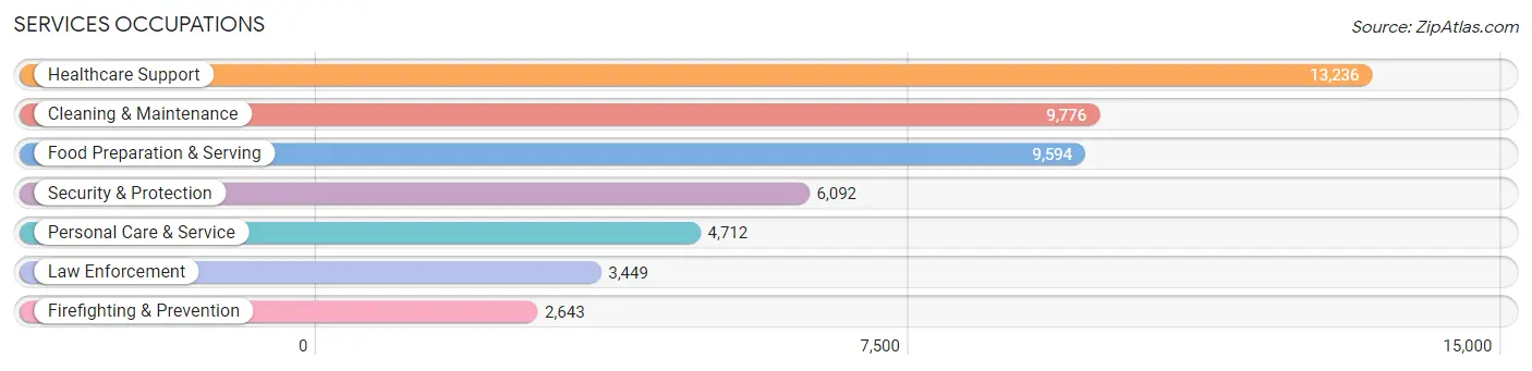 Services Occupations in Cameron County