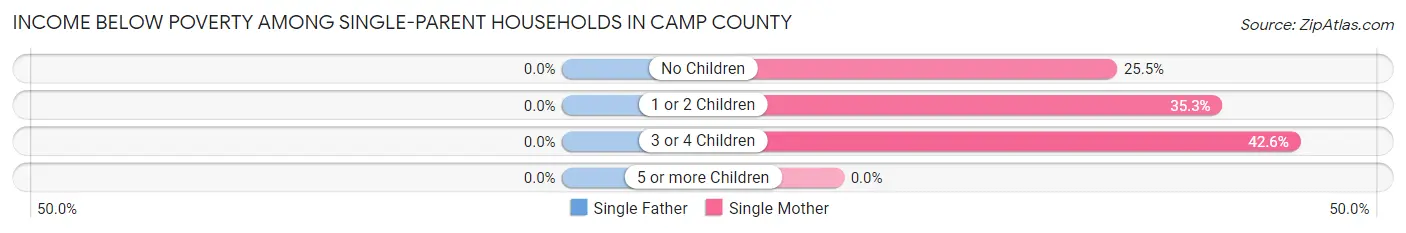 Income Below Poverty Among Single-Parent Households in Camp County