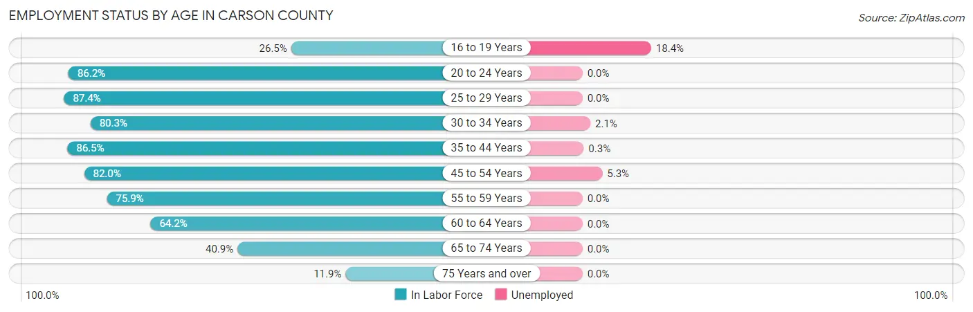 Employment Status by Age in Carson County