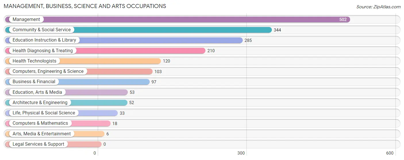 Management, Business, Science and Arts Occupations in Carson County