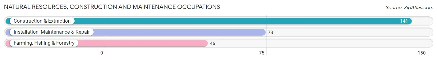 Natural Resources, Construction and Maintenance Occupations in Carson County