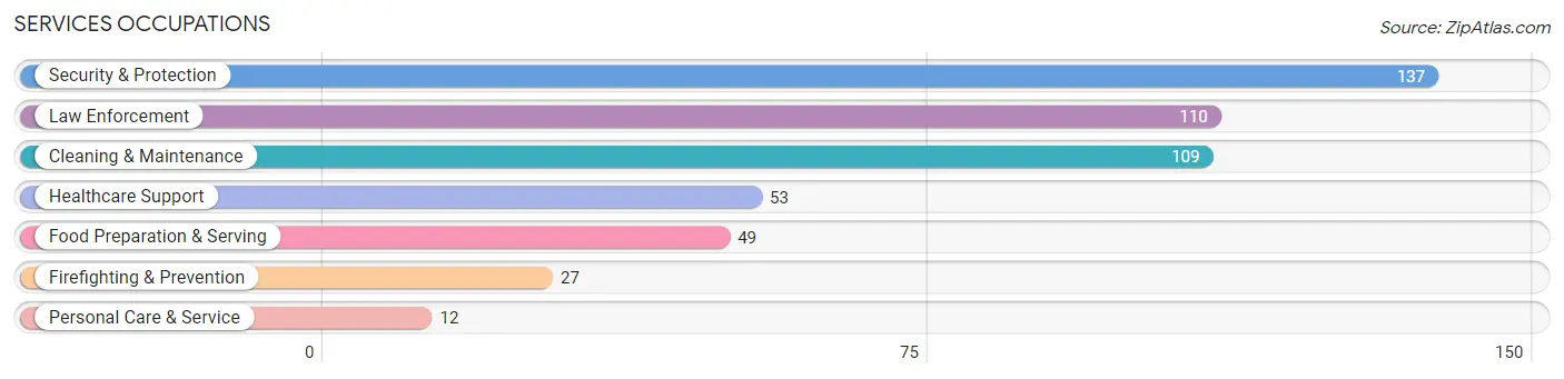 Services Occupations in Carson County