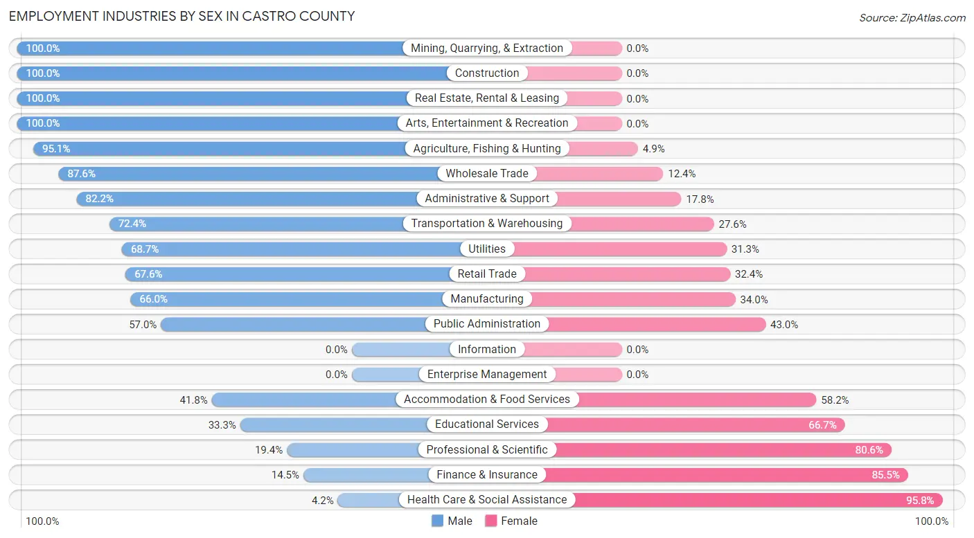 Employment Industries by Sex in Castro County