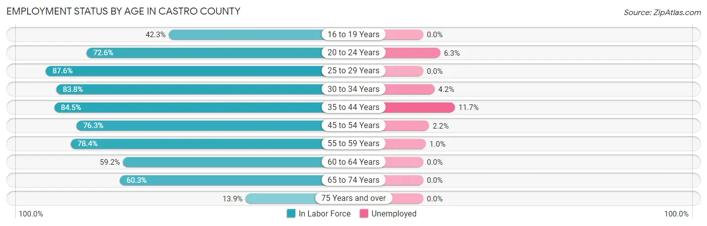 Employment Status by Age in Castro County