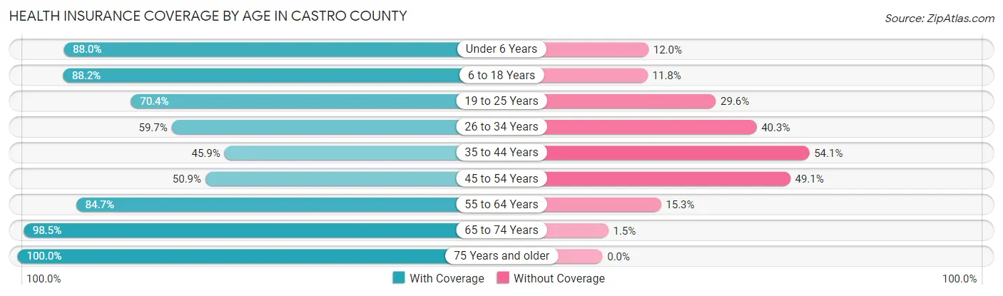 Health Insurance Coverage by Age in Castro County