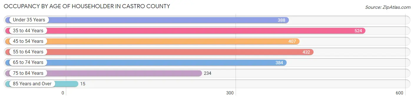 Occupancy by Age of Householder in Castro County
