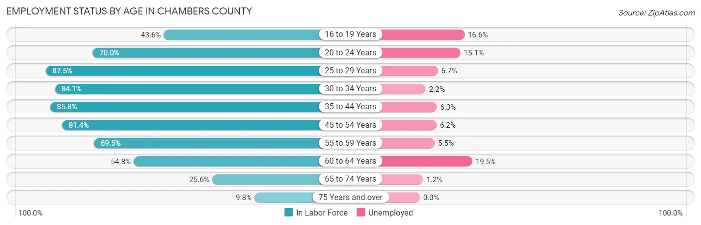 Employment Status by Age in Chambers County
