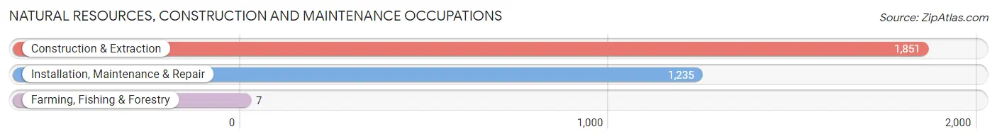 Natural Resources, Construction and Maintenance Occupations in Chambers County
