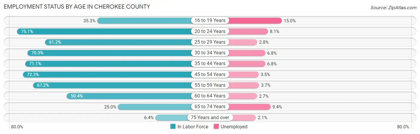 Employment Status by Age in Cherokee County