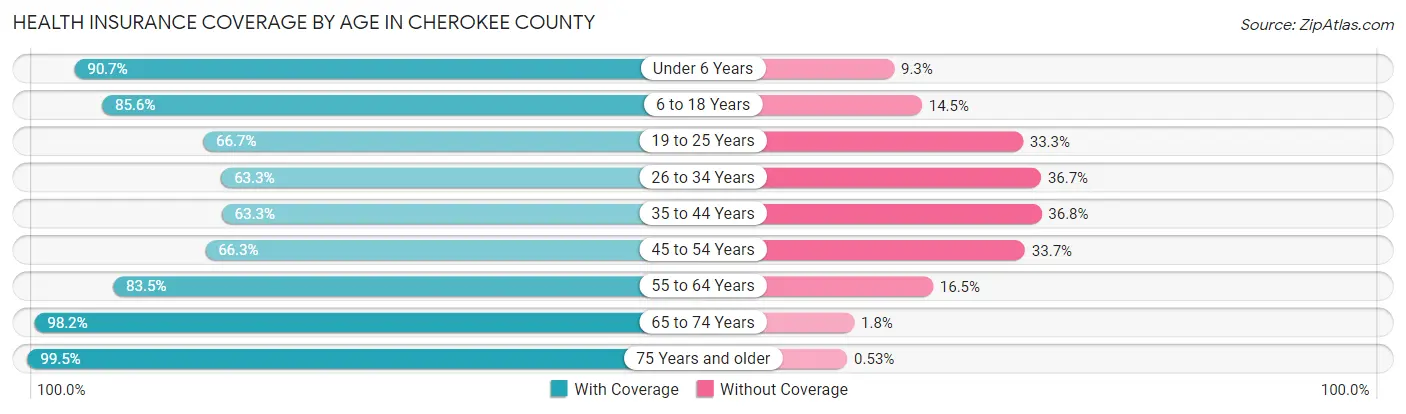 Health Insurance Coverage by Age in Cherokee County