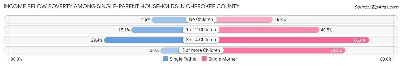 Income Below Poverty Among Single-Parent Households in Cherokee County