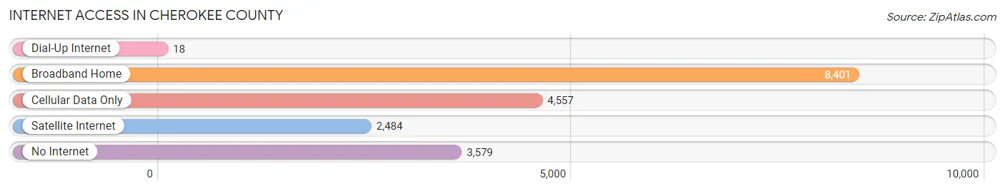 Internet Access in Cherokee County