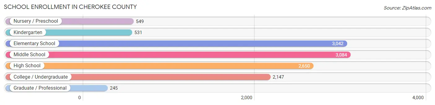 School Enrollment in Cherokee County