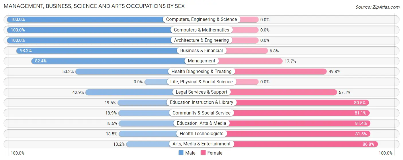 Management, Business, Science and Arts Occupations by Sex in Childress County