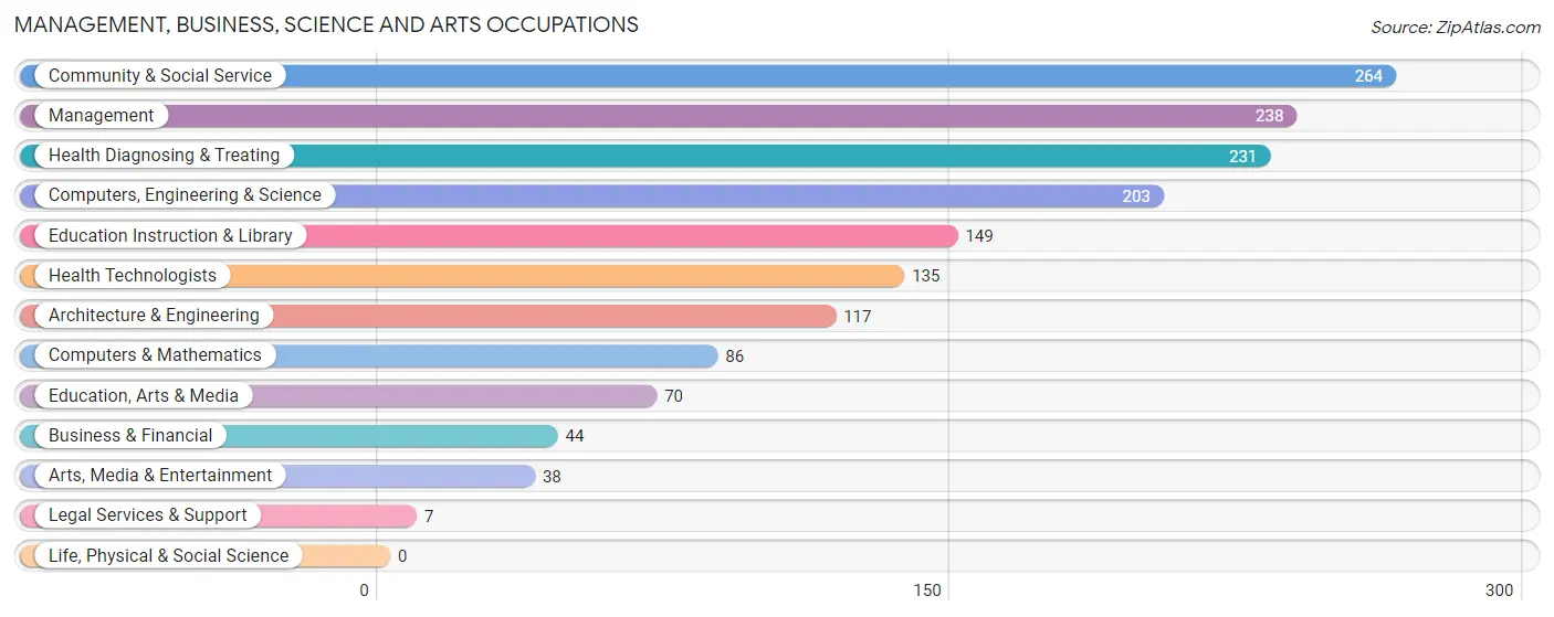 Management, Business, Science and Arts Occupations in Childress County