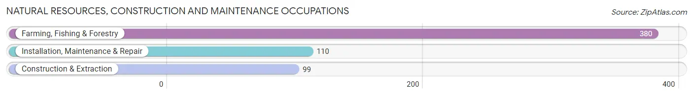 Natural Resources, Construction and Maintenance Occupations in Childress County