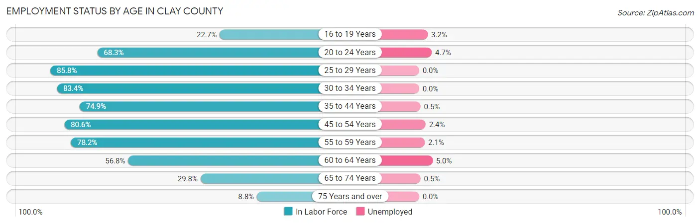 Employment Status by Age in Clay County