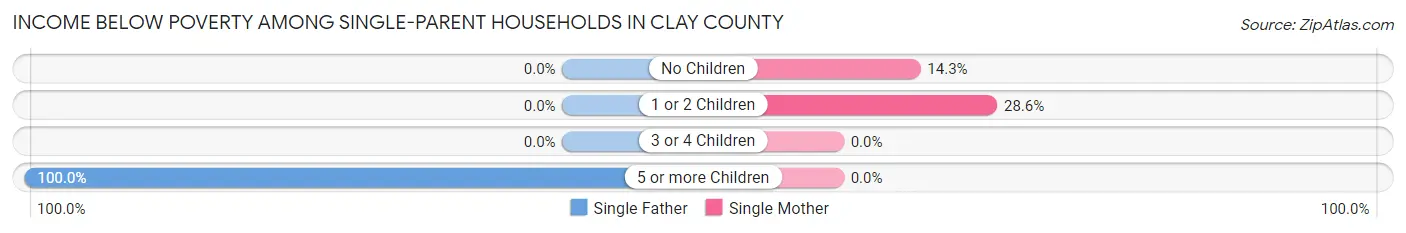 Income Below Poverty Among Single-Parent Households in Clay County