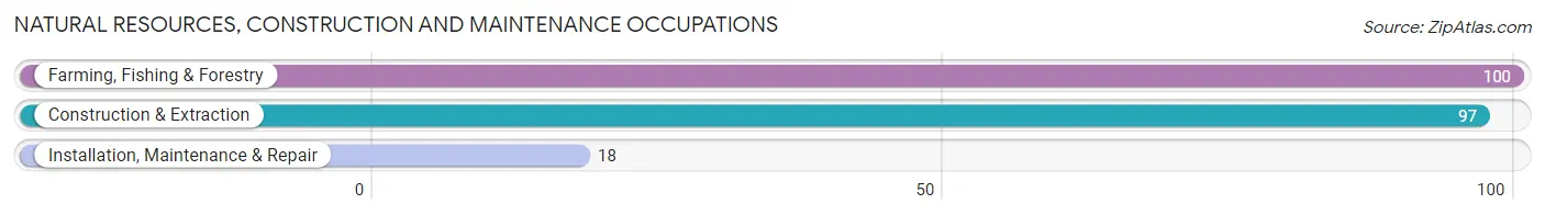 Natural Resources, Construction and Maintenance Occupations in Cochran County