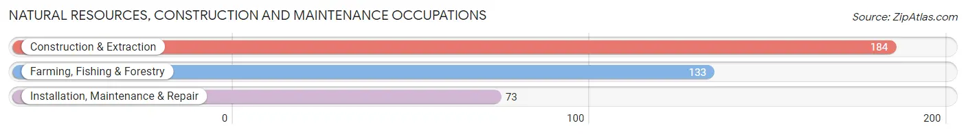 Natural Resources, Construction and Maintenance Occupations in Coleman County