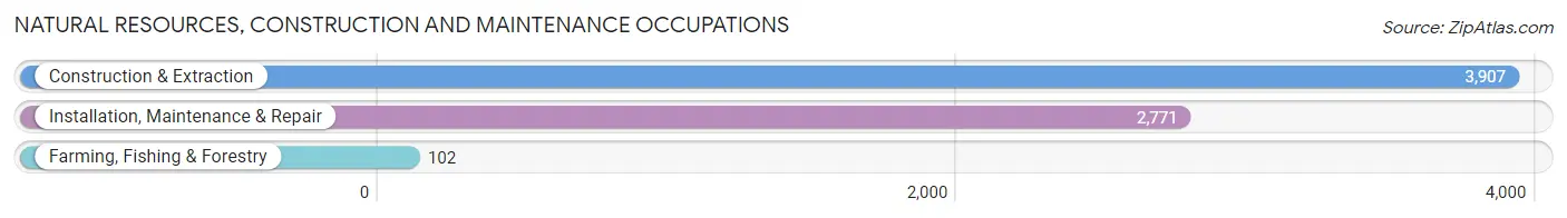 Natural Resources, Construction and Maintenance Occupations in Comal County