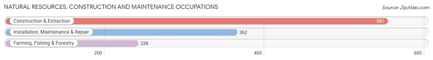 Natural Resources, Construction and Maintenance Occupations in Comanche County