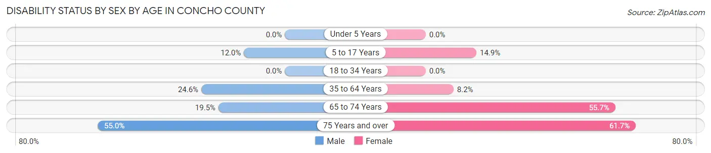 Disability Status by Sex by Age in Concho County