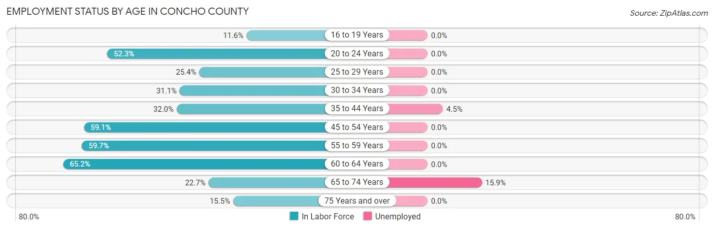 Employment Status by Age in Concho County