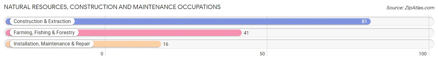 Natural Resources, Construction and Maintenance Occupations in Concho County