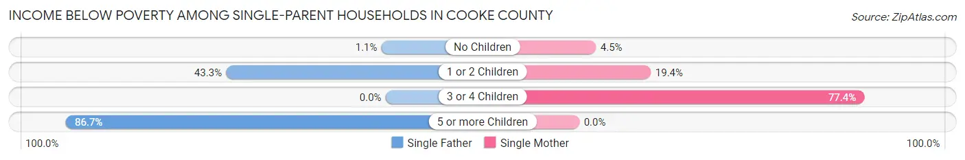 Income Below Poverty Among Single-Parent Households in Cooke County