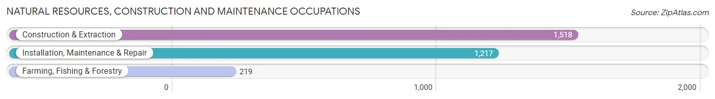 Natural Resources, Construction and Maintenance Occupations in Cooke County