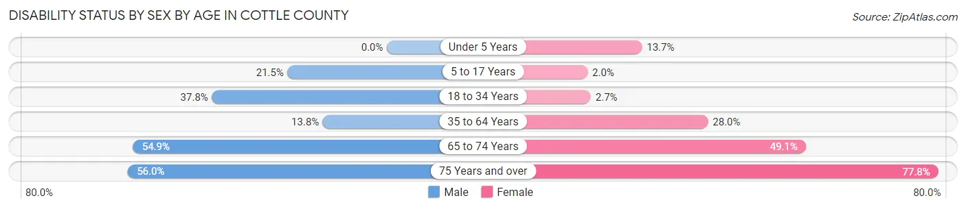 Disability Status by Sex by Age in Cottle County