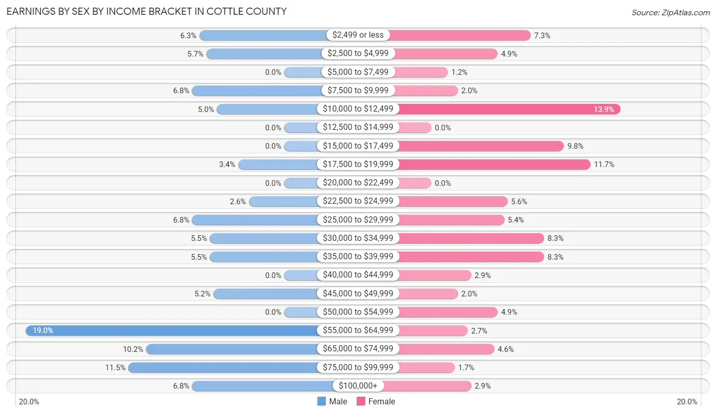 Earnings by Sex by Income Bracket in Cottle County