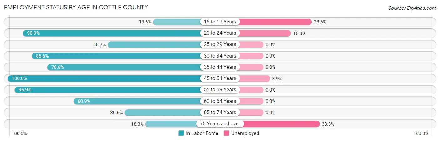 Employment Status by Age in Cottle County