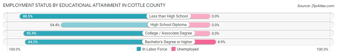 Employment Status by Educational Attainment in Cottle County