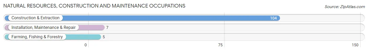 Natural Resources, Construction and Maintenance Occupations in Cottle County