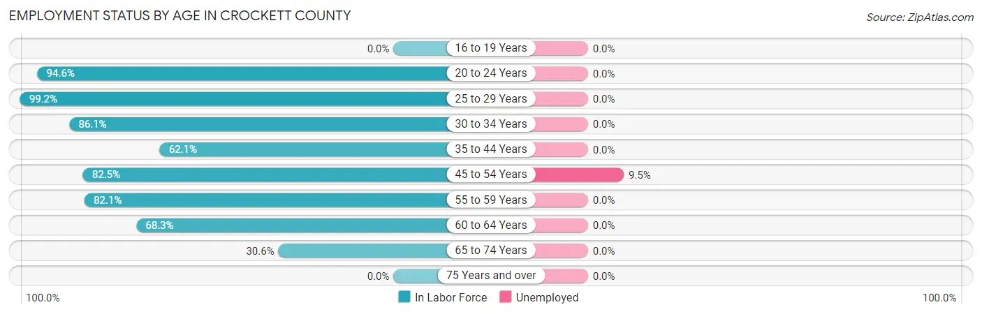 Employment Status by Age in Crockett County