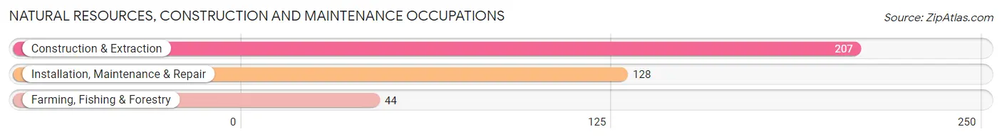 Natural Resources, Construction and Maintenance Occupations in Crockett County
